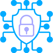 Systems & Network Defense<br><br>